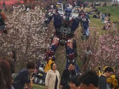 -望天湖