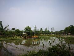 -洪湖家庭农场·团建·露营·会议