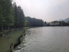 -长广溪湿地公园
