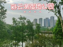 -重庆彩云湖湿地公园