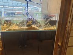 -北李妈妈菜·海肠捞饭(高新万达店)