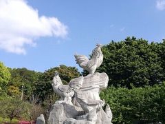 -金鸡山公园