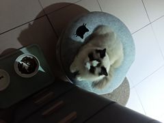 -矿泉游泳场