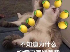 -蒋六十八梯眼镜面(渝中店)