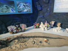 -上海中国航海博物馆