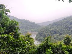 -东莞市大岭山森林公园