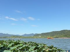 -西湖游船