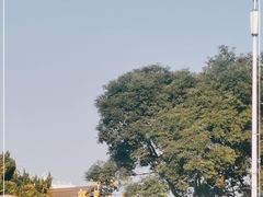 -松茸小馆·云南特色餐厅