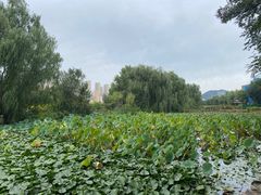 -大连海事大学-游泳馆