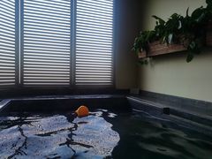 -春晖园度假酒店温泉