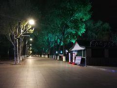 -人民防洪胜利纪念塔