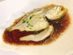 -骏莱海鲜鱼港(五角场店)