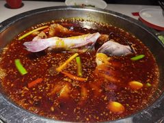 -蜀滋香鲜鱼美蛙火锅(339店)