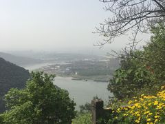 -铁山坪森林公园