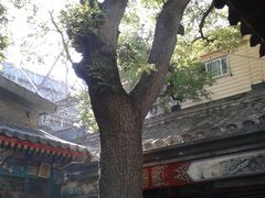 -东来顺饭庄(王府井步行街店)