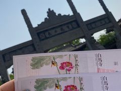 -洛阳白马寺