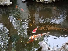 -鲤院·新中式美学·庭院餐厅(夫子庙店)