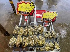 -蚝专家(北滘店)