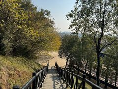 -平湖九龙山旅游度假区