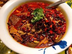 毛血旺-辛香汇(飞洲店)