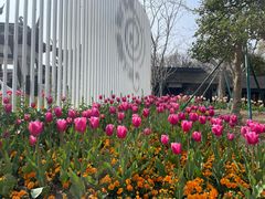 -苏州上方山国家森林公园