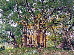 -徐家汇源景区-衡山公园