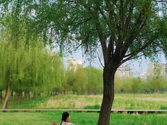 -汉江湾体育公园