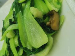 香菇青菜-渔中舟海鲜大排档(普陀沈家门店)