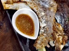 -鰓呼吸 石垣島 美崎町店