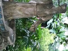 -晓港公园