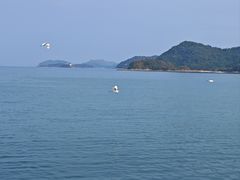 -蓬客精品酒店(南山海岸城购物中心店)