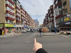 -青奢宠物·青奢猫舍