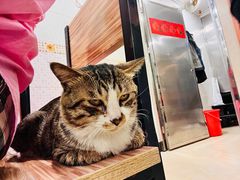 -玉椰林甜品店(创始店)