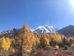 -亚拉雪山风景区