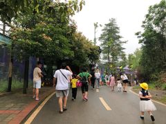 -贵州森林野生动物园