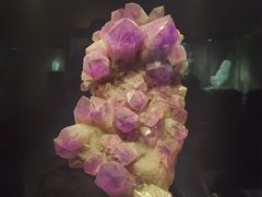 -中华赏石园