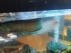 -水立方国际汤泉(六一中路店)