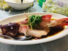 清蒸东星斑-强记海鲜·大排档(蛇口新街店)