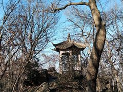 -紫金山山顶公园