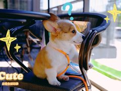 -星巴克(首钢店)