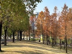 -牛岗山公园