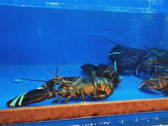 -东门烤鸭店(鼓楼店)