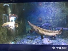 -厦门海底世界