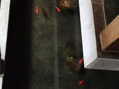 -蓉城老妈火锅(双林路店)