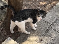 -崂山巨峰游览区