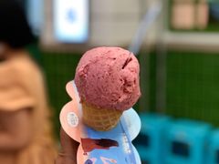 -野人先生现做冰淇淋(西安赛格店)