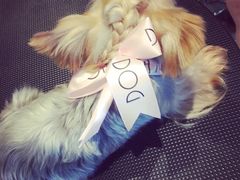 -Oh My Dog宠物沙龙(伊珊娜皮毛护理店)