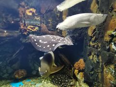 -华夏文旅海洋公园