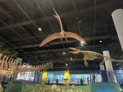 -国家自然博物馆