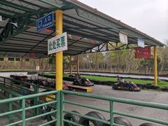 -上海海湾国家森林公园